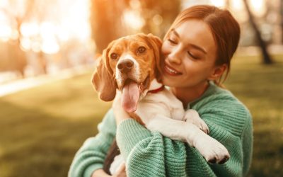 Importancia de las Vacunas, Protegiendo a tu Compañero de Vida Canino